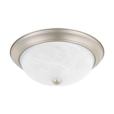A large image of the Capital Lighting 219031 Matte Nickel