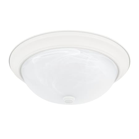 A large image of the Capital Lighting 219031 Matte White