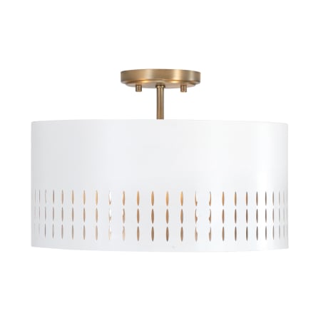 A large image of the Capital Lighting 250231 Aged Brass / White