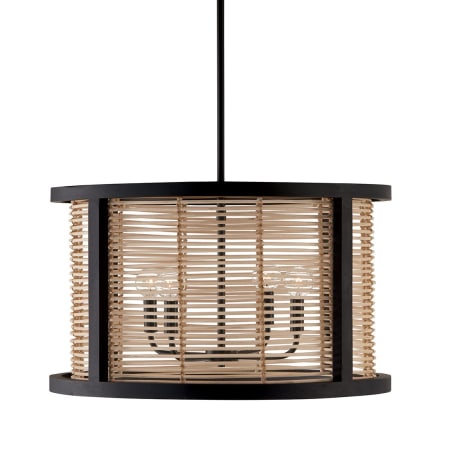 A large image of the Capital Lighting 344061 Flat Black