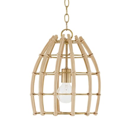 A large image of the Capital Lighting 344111 Matte Brass