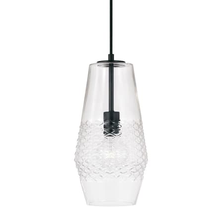 A large image of the Capital Lighting 345011 Matte Black