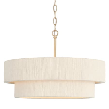 A large image of the Capital Lighting 349841 Matte Brass
