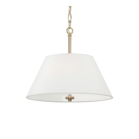 A large image of the Capital Lighting 353231 Matte Brass