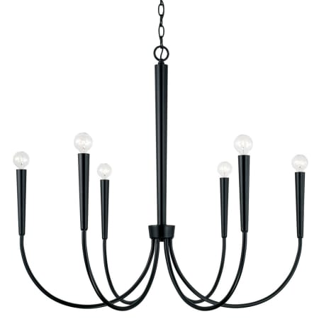 A large image of the Capital Lighting 445961 Matte Black