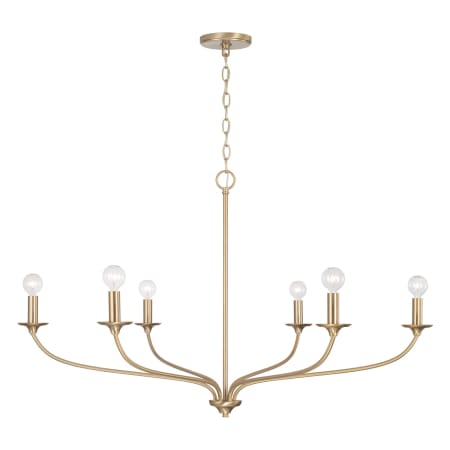 A large image of the Capital Lighting 449961 Matte Brass