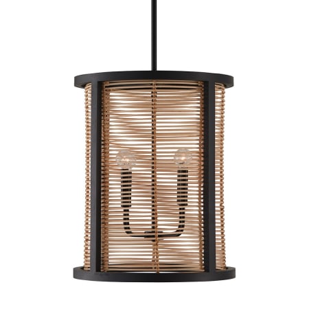 A large image of the Capital Lighting 544041 Flat Black
