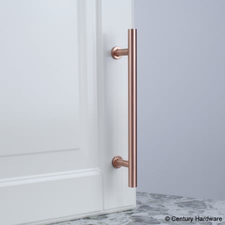 A large image of the Century 10478 Century-10478-Satin Rose Gold installed