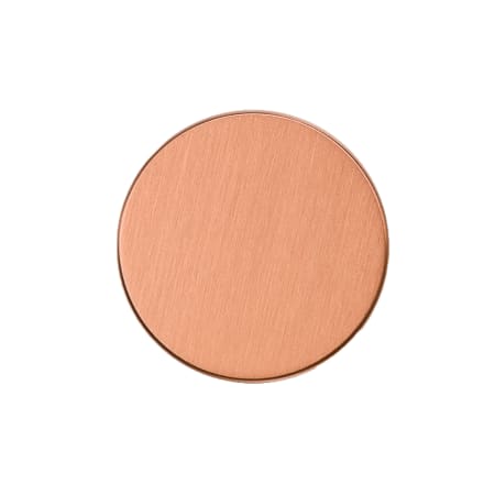 A large image of the Century 20619 Brushed Copper