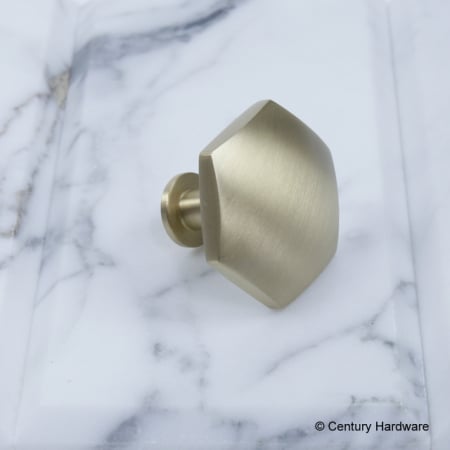 A large image of the Century 10829 Century Hardware-10829-Brass side angle