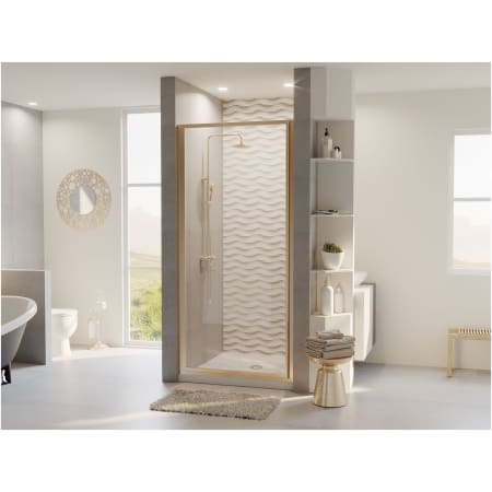 A large image of the Coastal Shower Doors L22.66-C Alternate View