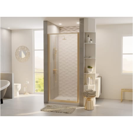 A large image of the Coastal Shower Doors L23.66-A Alternate View