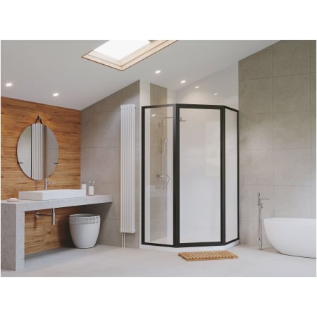 A large image of the Coastal Shower Doors NL15241566-C Alternate View