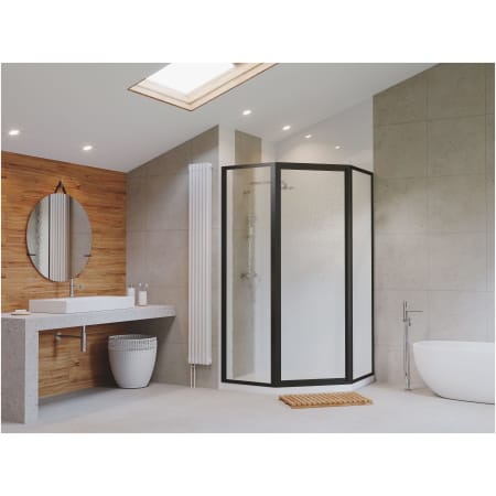 A large image of the Coastal Shower Doors NL15241570-A Alternate View