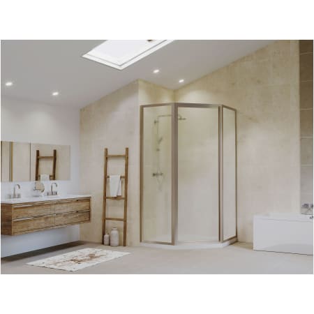 A large image of the Coastal Shower Doors NL17241770-A Alternate View