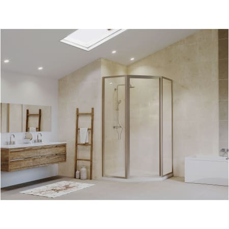A large image of the Coastal Shower Doors NL17241770-C Alternate View