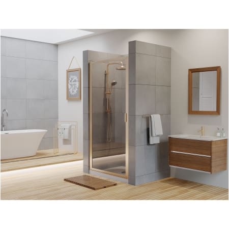 A large image of the Coastal Shower Doors P23.66-C Alternate View