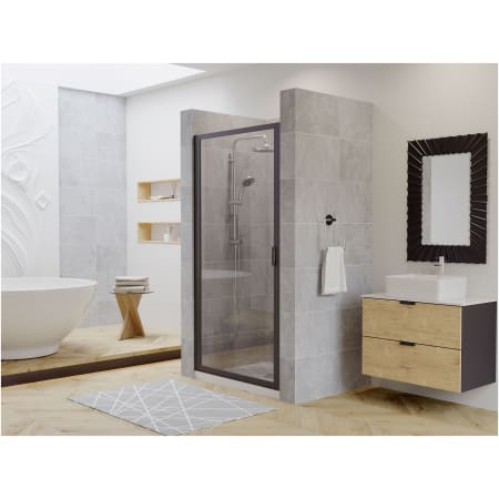 A large image of the Coastal Shower Doors P23.66-C Alternate View
