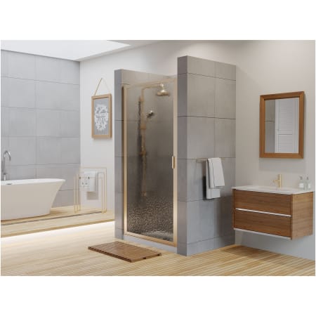 A large image of the Coastal Shower Doors P23.70-A Alternate View