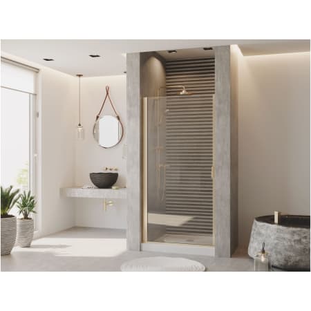 A large image of the Coastal Shower Doors PQFR24.70-C Alternate View