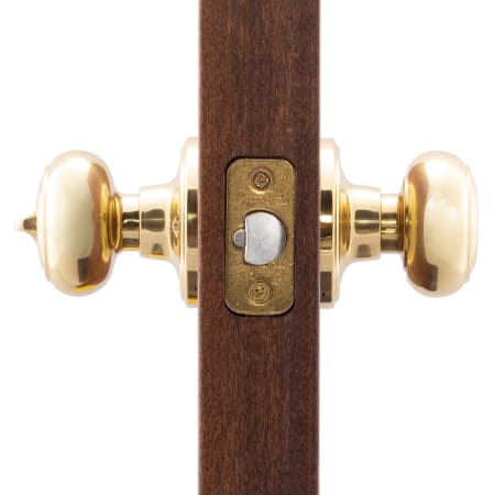 A large image of the Copper Creek CK2040 Copper Creek-CK2040-Application Side View in Polished Brass