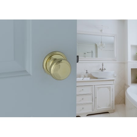 A large image of the Copper Creek CK2040 Copper Creek-CK2040-Bathroom Application View in Polished Brass