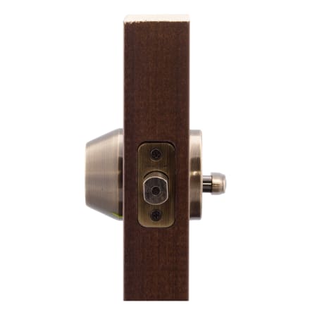 A large image of the Copper Creek DB2410 Copper Creek-DB2410-Application Side View in Antique Brass
