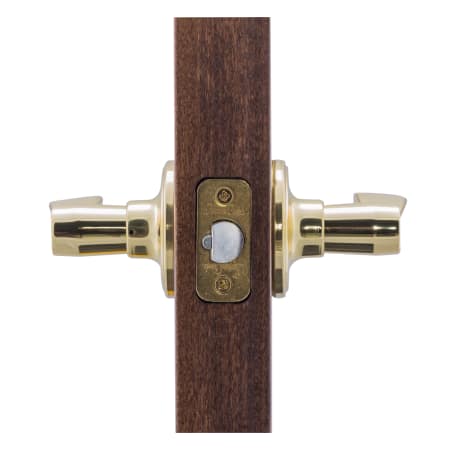 A large image of the Copper Creek WL2220 Copper Creek-WL2220-Application Side View in Polished Brass