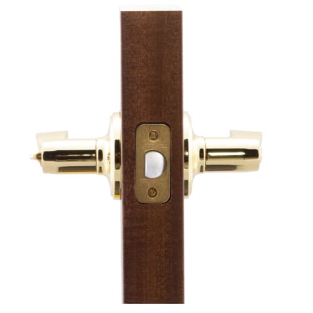 A large image of the Copper Creek WL2230 Copper Creek-WL2230-Application Side View in Polished Brass