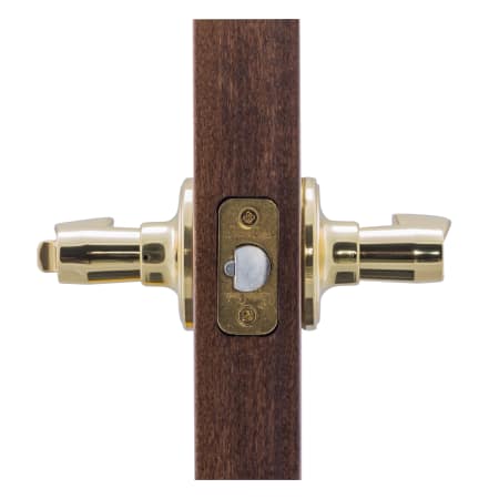 A large image of the Copper Creek WL2240 Copper Creek-WL2240-Application Side View in Polished Brass