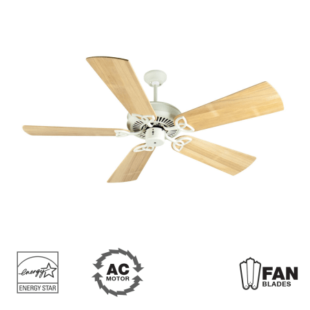 A large image of the Craftmade K10938 Antique White