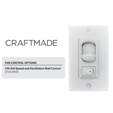 A large image of the Craftmade BW4143 Included Wall Control