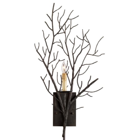 A large image of the Currey and Company 5002 Rustic Bronze