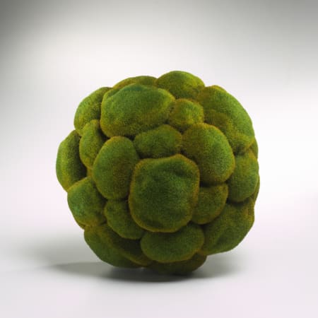 A large image of the Cyan Design 01768 Moss Green
