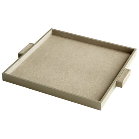 A large image of the Cyan Design Large Brooklyn Tray Shagreen