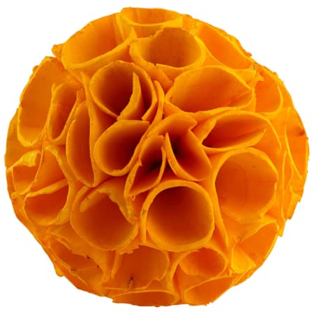 A large image of the Cyan Design Nola Filler Yellow