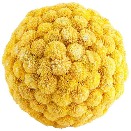 A large image of the Cyan Design Medium Sia Filler Yellow