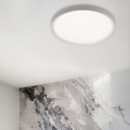 A large image of the Dainolite FID-1630LEDFH Alternate Image