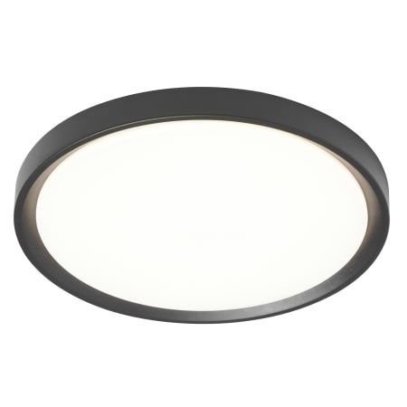 A large image of the Dainolite FID-1630LEDFH Matte Black / Matte White / Silver