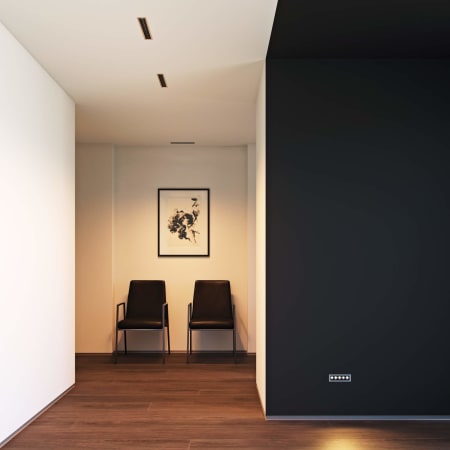 A large image of the DALS Lighting MSL4-CC Alternate image