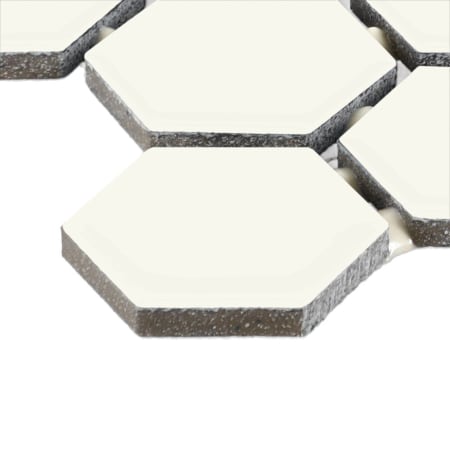 A large image of the Daltile 15HEXMS1P2 Alternate Image