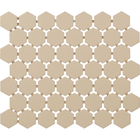 A large image of the Daltile 15HEXMS1P2 Alternate Image