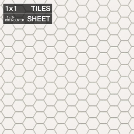 A large image of the Daltile D1HEXMS Arctic White