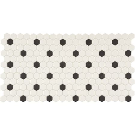 A large image of the Daltile DK1HEXMSP-SAMPLE White With Black Dot