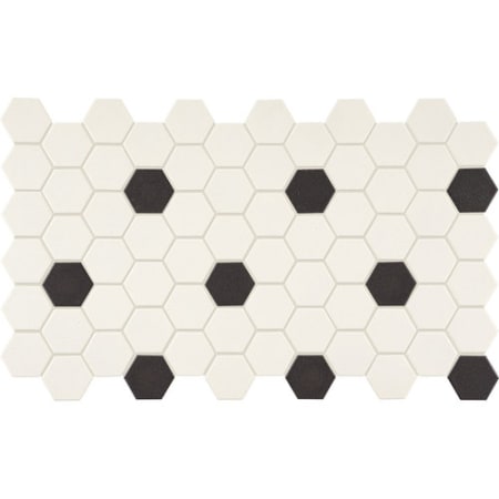 A large image of the Daltile DK2HEXGMSP-SAMPLE White With Black Dot