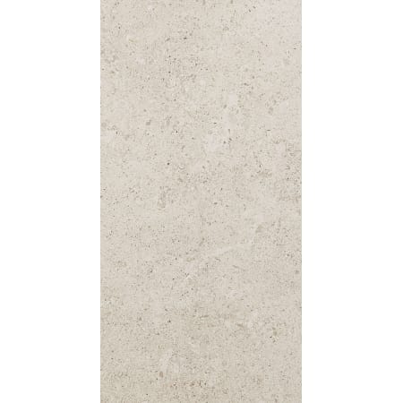 A large image of the Daltile DR1224P Luminary White