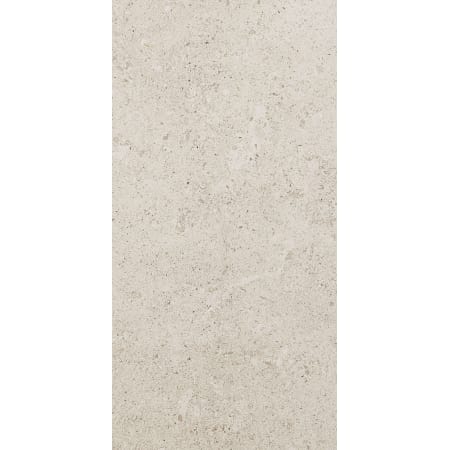 A large image of the Daltile DR2448P Luminary White