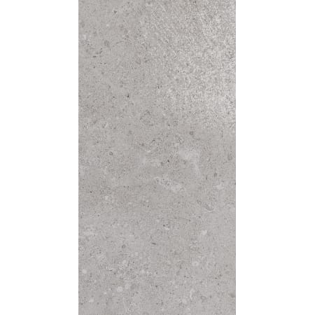 A large image of the Daltile DR1224L Eminence Gray