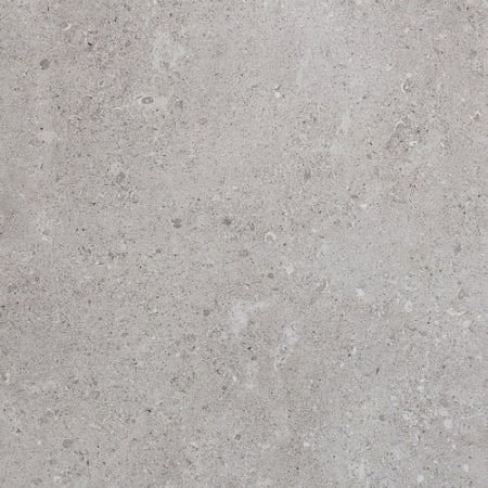 A large image of the Daltile DR2424P Eminence Gray