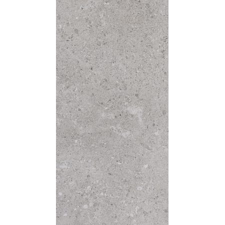 A large image of the Daltile DR2448P Eminence Gray
